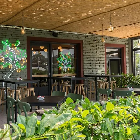 Lemon Market Guest house